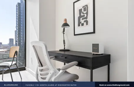 1 Bedroom South Loop Apartment