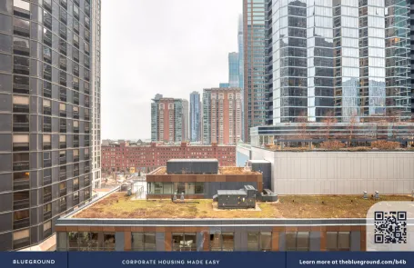 2 Bedroom Streeterville Apartment