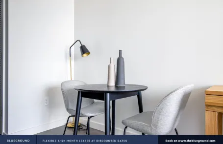 1 Bedroom South Loop Apartment