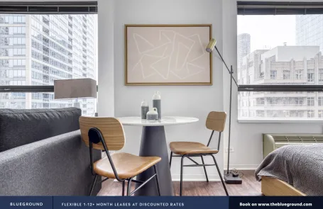 Studio Streeterville Apartment