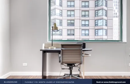 1 Bedroom Streeterville Apartment