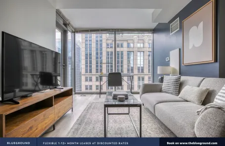 1 Bedroom Chicago Loop Apartment