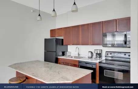 2 Bedroom Chicago Loop Apartment