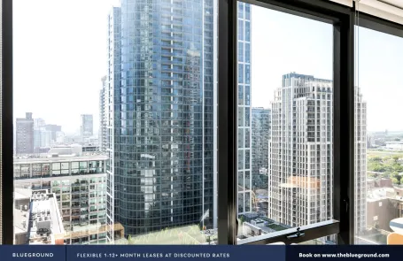 1 Bedroom South Loop Apartment