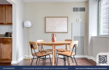 2 Bedroom Streeterville Apartment