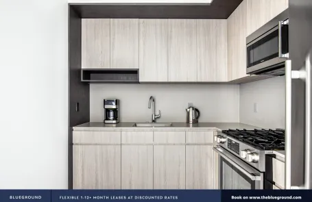 1 Bedroom South Loop Apartment