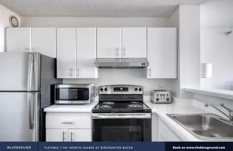 Studio Streeterville Apartment