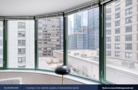 1 Bedroom Streeterville Apartment