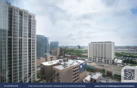 1 Bedroom South Loop Apartment