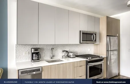 1 Bedroom South Loop Apartment