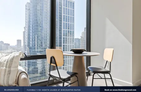 1 Bedroom South Loop Apartment