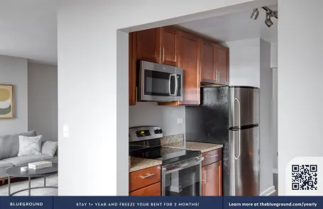 2 Bedroom Streeterville Apartment