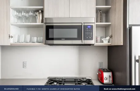1 Bedroom South Loop Apartment
