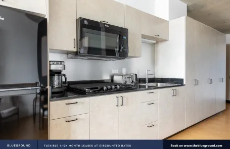 Studio Lincoln Park Apartment
