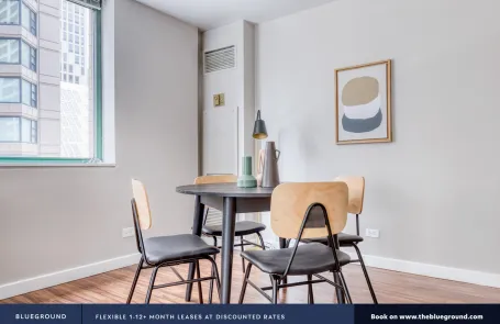 1 Bedroom Streeterville Apartment