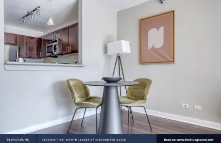 Studio Streeterville Apartment