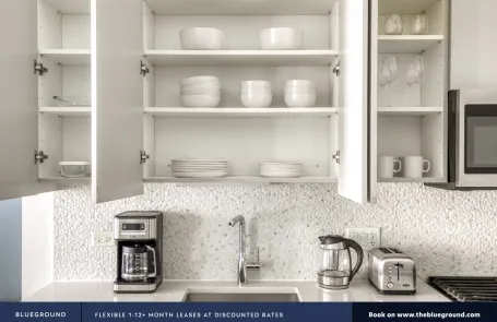 1 Bedroom South Loop Apartment