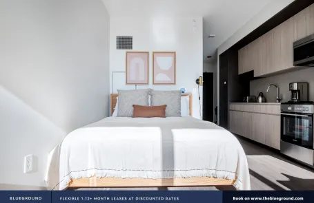 Studio South Loop Apartment