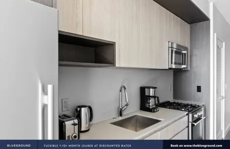 1 Bedroom South Loop Apartment