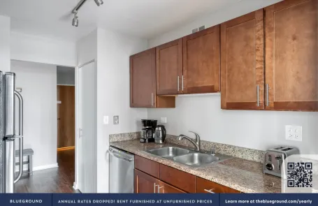 2 Bedroom Streeterville Apartment