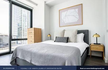 1 Bedroom South Loop Apartment