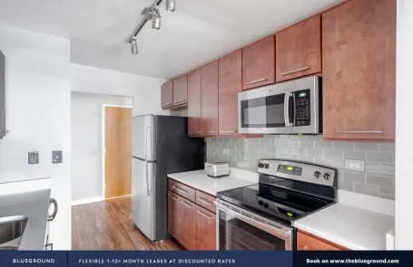 1 Bedroom Streeterville Apartment