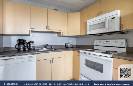 1 Bedroom South Loop Apartment