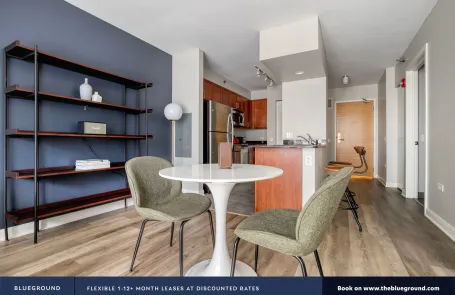 1 Bedroom Chicago Loop Apartment