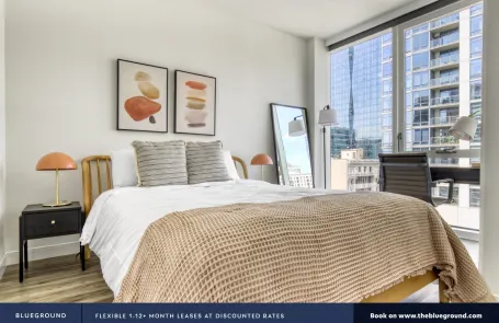 1 Bedroom South Loop Apartment