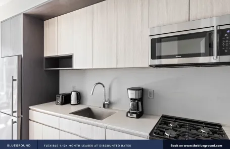 1 Bedroom South Loop Apartment