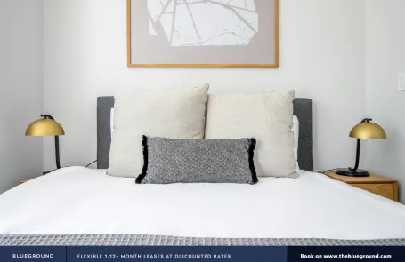 1 Bedroom South Loop Apartment