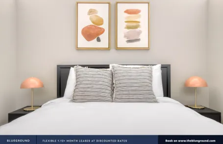 1 Bedroom Chicago Loop Apartment