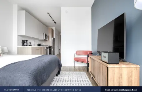 Studio South Loop Apartment