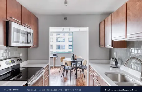 1 Bedroom Streeterville Apartment