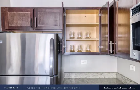 Studio Streeterville Apartment