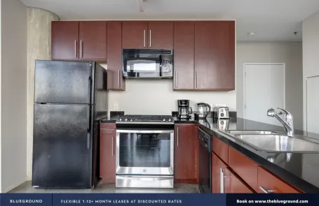 2 Bedroom South Loop Apartment