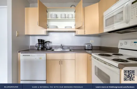 1 Bedroom South Loop Apartment