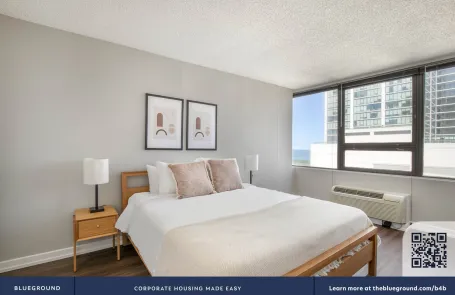 1 Bedroom South Loop Apartment