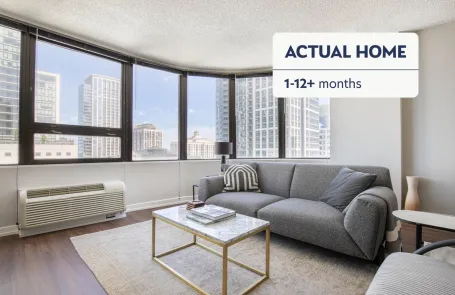 1 Bedroom South Loop Apartment