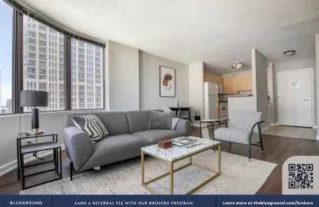 1 Bedroom South Loop Apartment