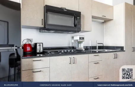 Studio Lincoln Park Apartment