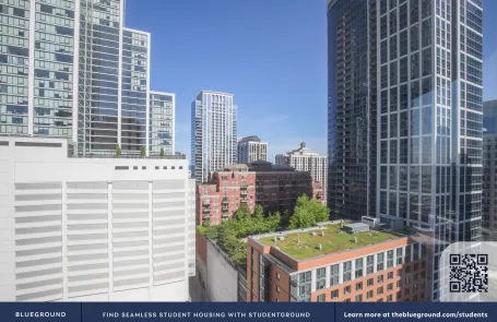 1 Bedroom South Loop Apartment