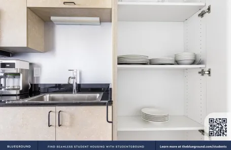 Studio Lincoln Park Apartment