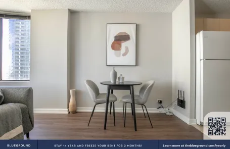 1 Bedroom South Loop Apartment