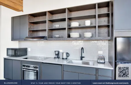 2 Bedroom Lincoln Park Apartment