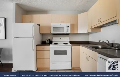1 Bedroom South Loop Apartment