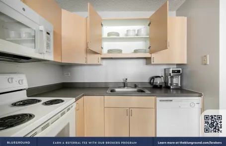 1 Bedroom South Loop Apartment