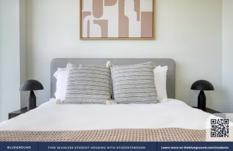 1 Bedroom South Loop Apartment