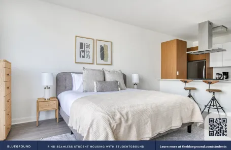 Studio Streeterville Apartment