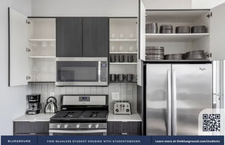 2 Bedroom South Loop Apartment